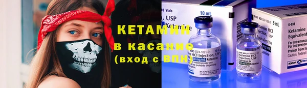 шишки Дмитровск