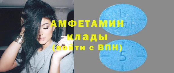 шишки Дмитровск
