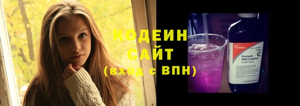 шишки Дмитровск