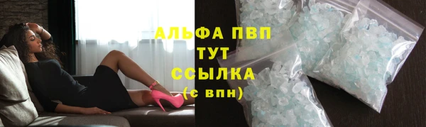 шишки Дмитровск