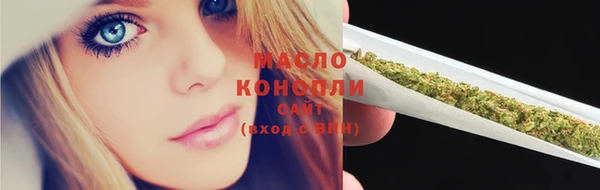 молекула духа Дмитриев
