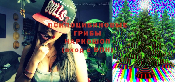 шишки Дмитровск
