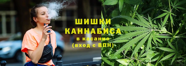 молекула духа Дмитриев