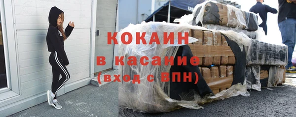 шишки Дмитровск