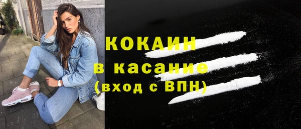 шишки Дмитровск