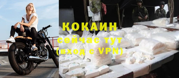 шишки Дмитровск