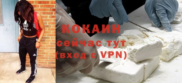 шишки Дмитровск