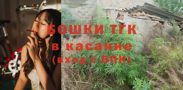 шишки Дмитровск