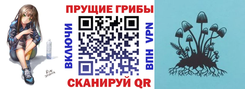 Галлюциногенные грибы GOLDEN TEACHER  дарнет шоп  гидра зеркало  Нальчик 